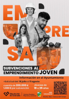 Programa de Subvenciones al Emprendimiento Joven